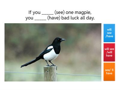  first conditional Quiz