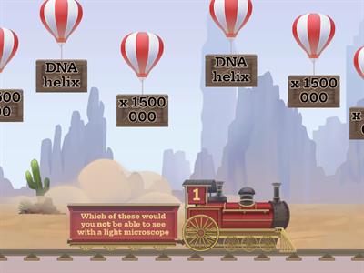 FFynone House- Y9 microscopy- balloon pop