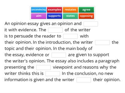 What is an opinion essay?