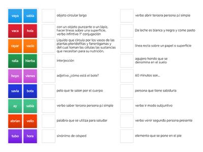 palabras homófonas Danna (6º primaria)