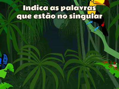 14-  O número das palavras Isabel Barros