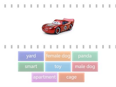 conversation; the perfect pet