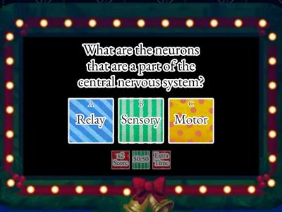 Biology: The Nervous System