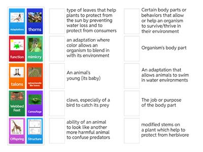Structure & Function of Organisms