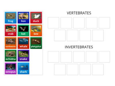 SYSTEMIC B4 - Science - Marine Mammals