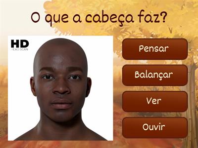 Funções das Partes do Corpo