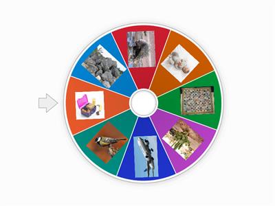  Living and non living 