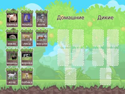 «Домашние и дикие животные»
