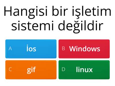 işletim sistemi