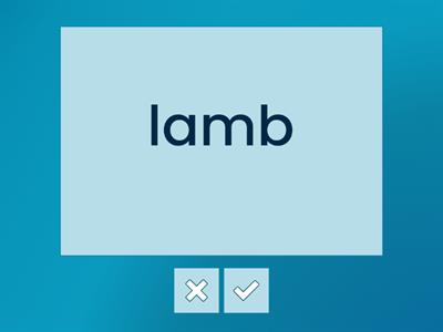 Minimal Pairs: /l/ vs /w/