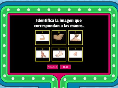 Identificar partes y articulaciones del cuerpo humano, así como partes finas de la cara.