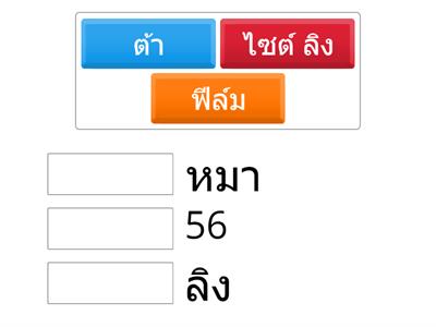 เรื่องของลิงๆ