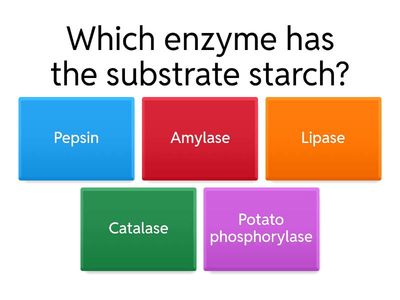 Quiz Enzyme specificity