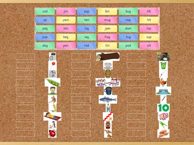 Family words - Quiz - Corkboard