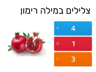  ראש השנה- חלוקה לצלילים