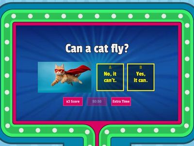 Can and Can't Quiz for ESL Students