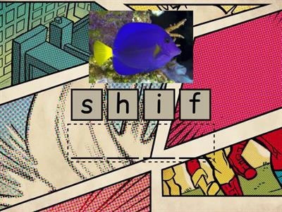 Literacy: 'sh' Digraph