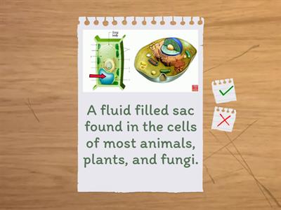 1.3 Cell Structures and Functions