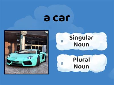 Singular and Plural Nouns