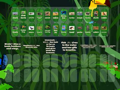 animal classification