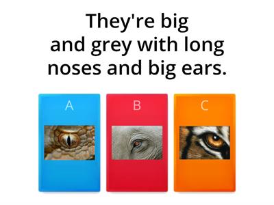 "Wild animals" Quiz