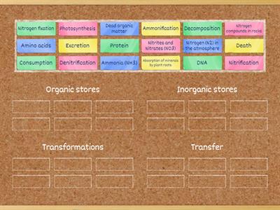 2.3 HL nitrogen cycle stores, transfers and transformations