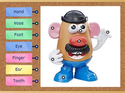 Grade 5 Unit 5 Body Parts