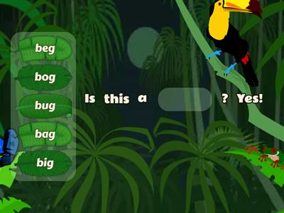 Bugs! Bugs! Bugs! Comprehension