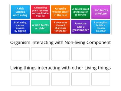 Living and Nonliving Interactions