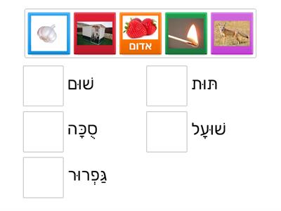 חיזוק קריאה