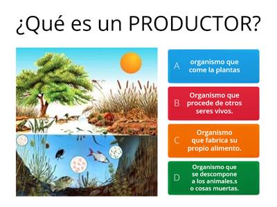 Evaluacion sobre el Ecosistema