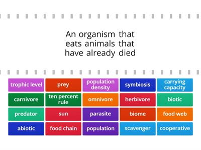 Interdependence of Life - Vocabulary
