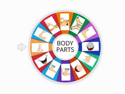 BODY PARTS