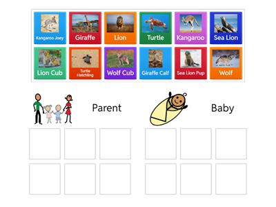 Adult Baby Group Sort