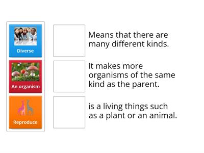 Gr3 lesson1Life Cycles