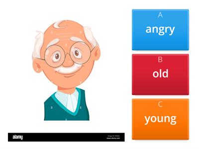 Grade 3 Module 1 Vocabulary 