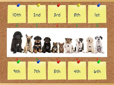 Ordinal Numbers 1st-10th