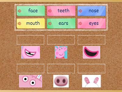  Unit 3 Face Parts