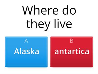 Artic fox quiz