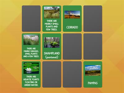 BRAZILIAN BIOMES  Memory Game