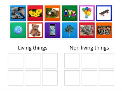 Living things & Non living things
