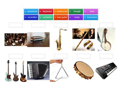 Musical instruments  6  Beehive 5 Unit