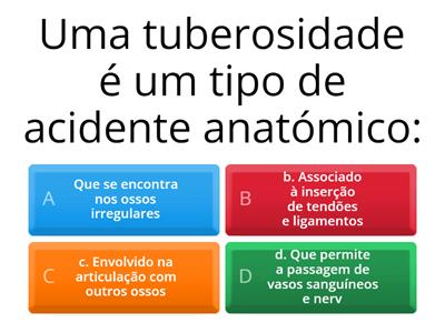 Quiz de Anatomia ( Superior)