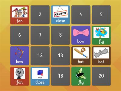 Homograph Matching Pairs