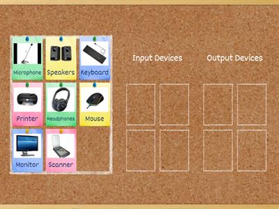 TK-G2-Input and Output Devices