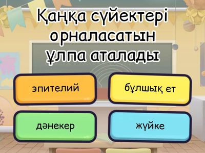 анатомия 100 сурак