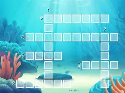 Ubrania (język polski bez granic)