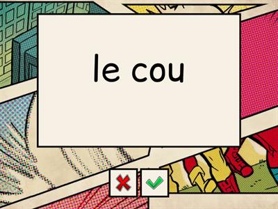 Les parties du corps