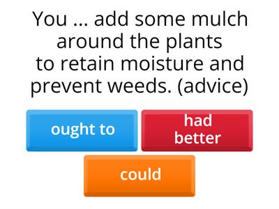 Modal verbs 2