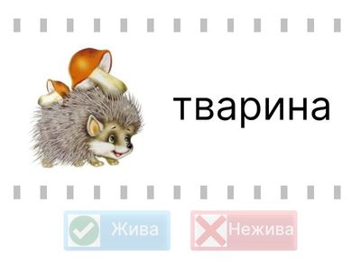 Жива та нежива природа